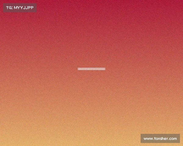 意大利足球甲级联赛莱切班达突破造点球